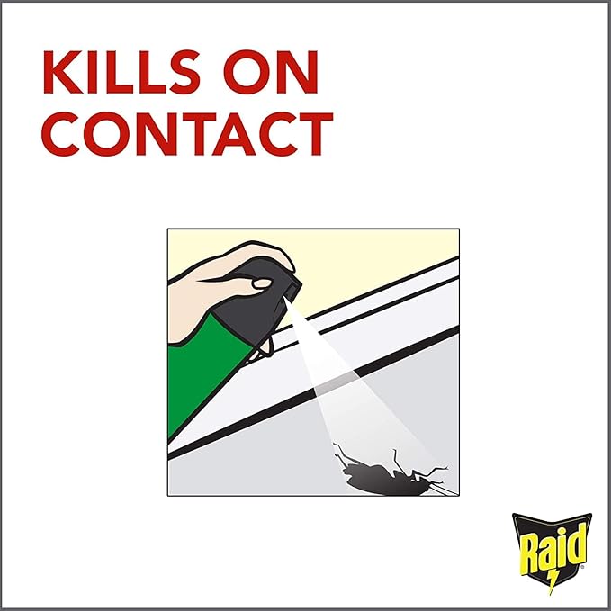 Raid Home Insect Bug Killer and Mosquito Repellent, Kills Listed Bugs on Contact, For Indoor and Outdoor Use, 350g - Image 2